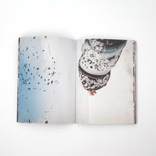 画像をギャラリービューアに読み込む, 「BETWEEN LINE AND PATTERN」NOMA t.d.