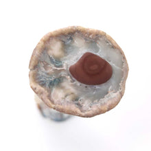 Load image into Gallery viewer, <tc>Rena Kudoh “Cup Flavored Drawings #225”</tc>