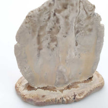 Load image into Gallery viewer, <tc>Rena Kudoh “Cup Flavored Drawings #226”</tc>