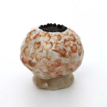 Load image into Gallery viewer, <tc>Rena Kudoh “Cup Flavored Drawings #231”</tc>