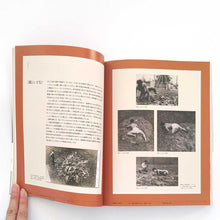 画像をギャラリービューアに読み込む, "白髪一雄 行為にこそ総てをかけて"