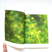 画像をギャラリービューアに読み込む, "O KU 内藤礼|地上はどんなところだったか"